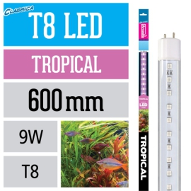 Arcadia LED Lampe T8 Tropical