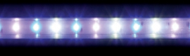 Arcadia Series 5 LED Strip Marine White