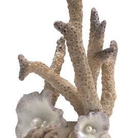 Oase biOrb Korallen Ornament groß