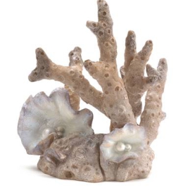 Oase biOrb Korallen Ornament klein