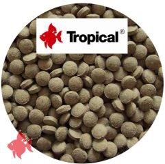 Tropical Hauptfutter Bodentabletten (Staple Tablet B) 1kg