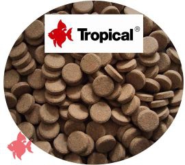 Tropical Hauptfutter Hafttabletten (Staple Tablet A)  0,100 kg