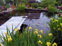 Teich 50000 Liter