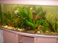 Panoramaaquarium
