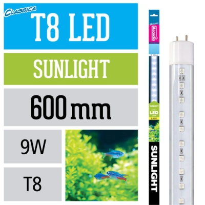Arcadia LED Lampe T8 Sunlight
