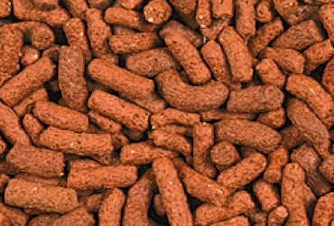 Koi Aquasticks Color Premium 10 kg "Unser Bestes"