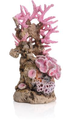 Oase biOrb Korallenriff Ornament pink