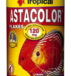 Tropical Astacolor 100 g
