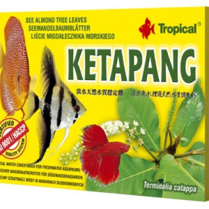 Tropical Ketapang - Seemandelbaumblätter 30 g
